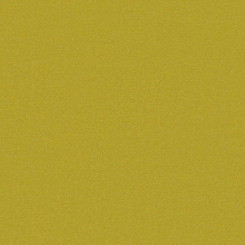 TKCH-42 olive